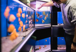 How U.S.-Farmed Tropical Fish Improve Profit Margins for Retailers